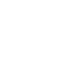 digital evolution image